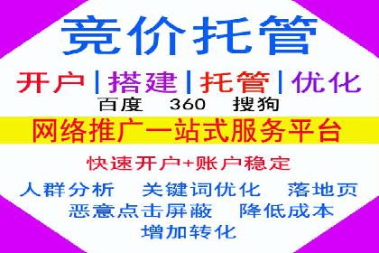 某某SEM服务公司如何帮助企业实现ROI最大化
